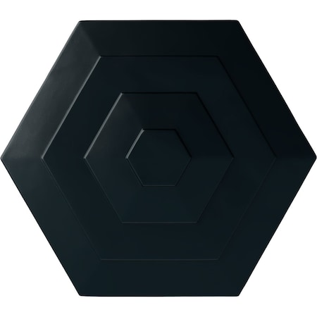 Ekena Millwork Woodruff Ceiling Medallion, Hand-Painted Night Shade, 23 1/4"OD x 7/8"P CM23WFNSF